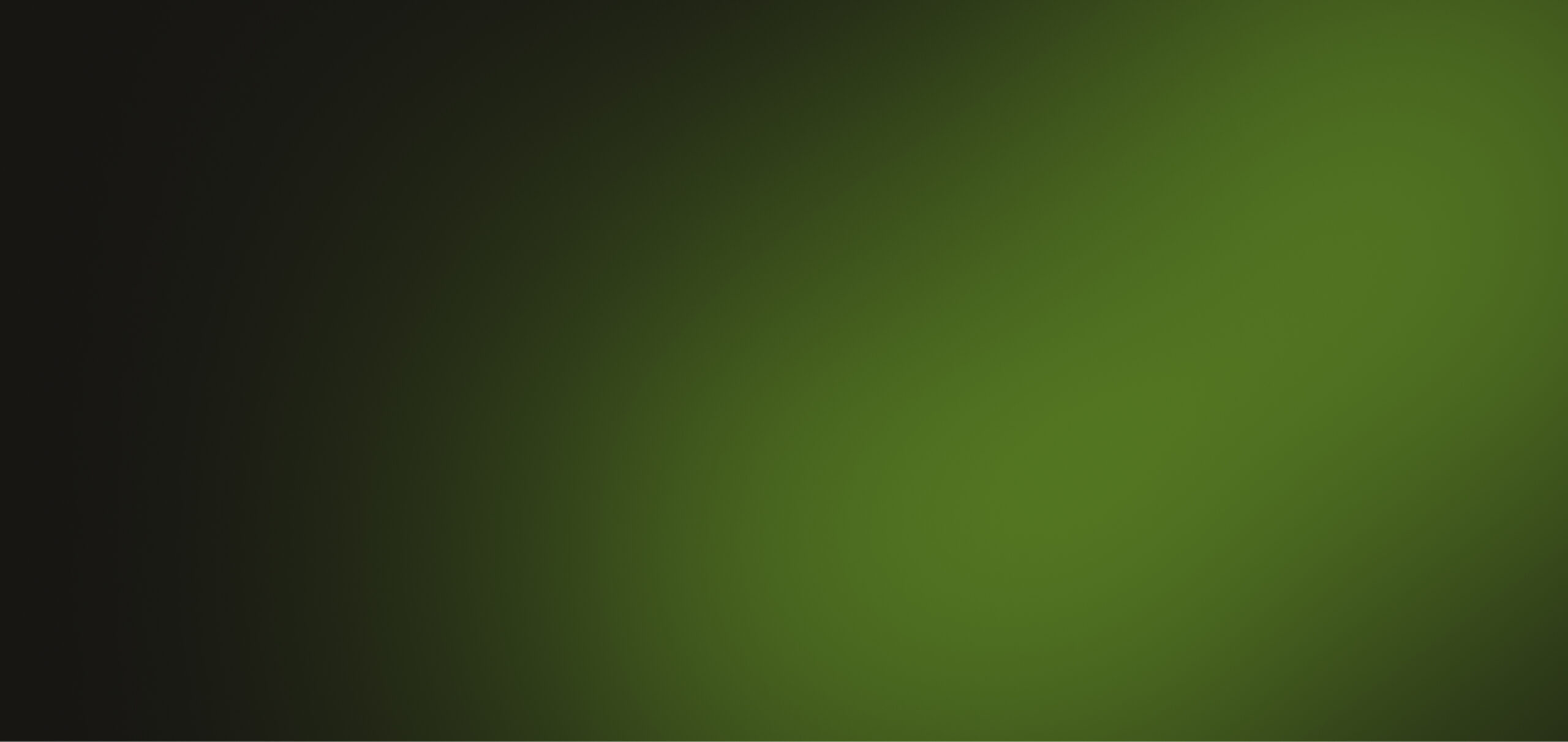 antenista tv, electricista y fontanero en Mallorca Son Marimon | fondo verde de formulario